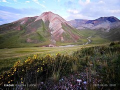 手机拍青海【5】