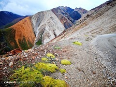 手机拍青海【5】