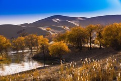 外出随拍（726）.