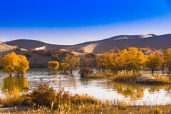 外出随拍（726）.