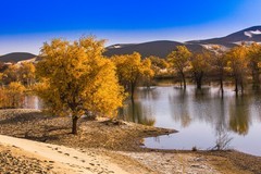 外出随拍（726）.