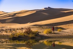 外出随拍（728）.