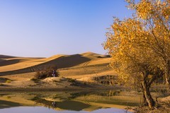 外出随拍（728）.