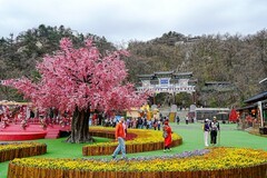 云端仙境--河南老君山【4】