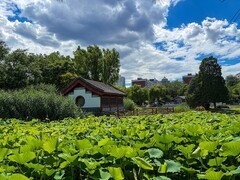 2026年- 北京大观园纪实拍-0444