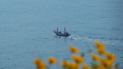 六 月，大 连 来 看 海 （ 四 ）