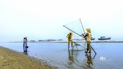 广西行——东兴高跷捕鱼（10）