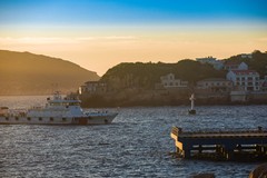 外出随拍（591）.