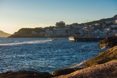 外出随拍（591）.