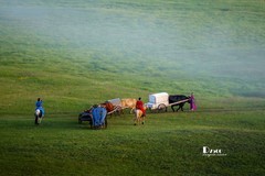 牧人迁徙（55）