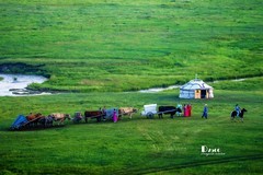 牧人迁徙（55）