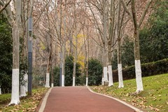 庐州印象（547）清水冲