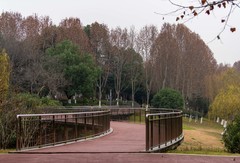 庐州印象（547）清水冲