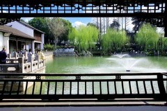 风吹残红绿正肥