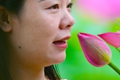 【人像摄影】荷花人像