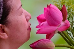 【人像摄影】荷花人像