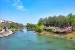 春光明媚（续1）