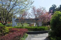 春光明媚（续1）