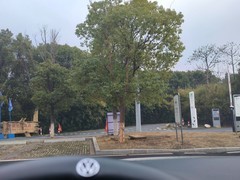 2026春节皖浙赣（18）常湖池观鸟点