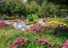 秋日的北京鲜花港