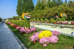 秋日的北京鲜花港