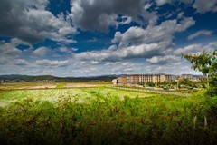 香格里拉到西双版纳沿途风景67