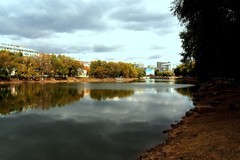 南湖公园随拍（1）