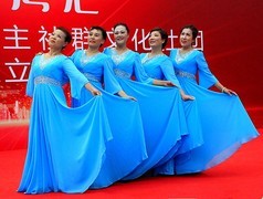 1230【不老松：二游海南纪实】临高长島兰湾社团成立！