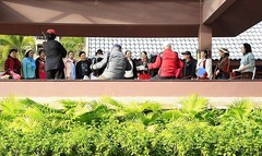 1231【不老松：二游海南纪实】临高长島兰湾 合唱团正在演练！