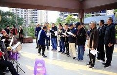 1231【不老松：二游海南纪实】临高长島兰湾 合唱团正在演练！