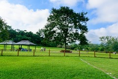 版纳热带植物园掠影