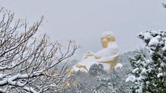 【视觉光影】瑞 雪 泉 城 （1）
