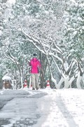 【视觉光影】瑞 雪 泉 城 （1）