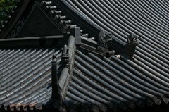 东莞有个粤晖园