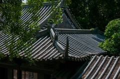 东莞有个粤晖园