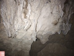 2025.3.21走进遥望天下景区（11）