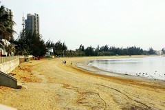 1235【不老松：二游海南纪实】临高长島兰湾海边隨拍！