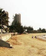 1235【不老松：二游海南纪实】临高长島兰湾海边隨拍！