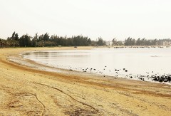 1235【不老松：二游海南纪实】临高长島兰湾海边隨拍！