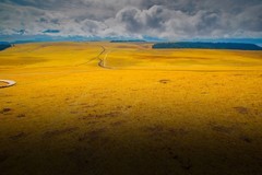 新疆喀拉峻草原 12