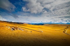 新疆喀拉峻草原 12