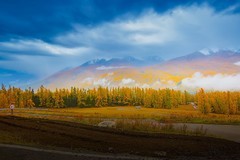 新疆喀纳斯风景26