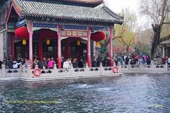 趵突泉   (济南趵突泉景区)