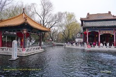 趵突泉   (济南趵突泉景区)