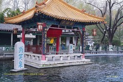 趵突泉   (济南趵突泉景区)