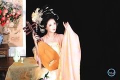 【琵琶仙子】---星星