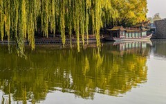 手机游拍20241112《73》