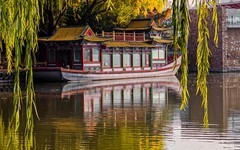 手机游拍20241112《73》