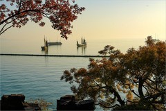 2025年第0894贴-无锡鼋头渚公园旅拍（1225）