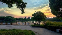 夕照汀棠（汀棠公园）